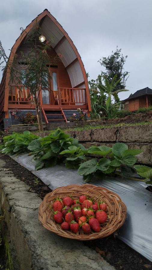 Family Rinjani Bungalow Sajang エクステリア 写真
