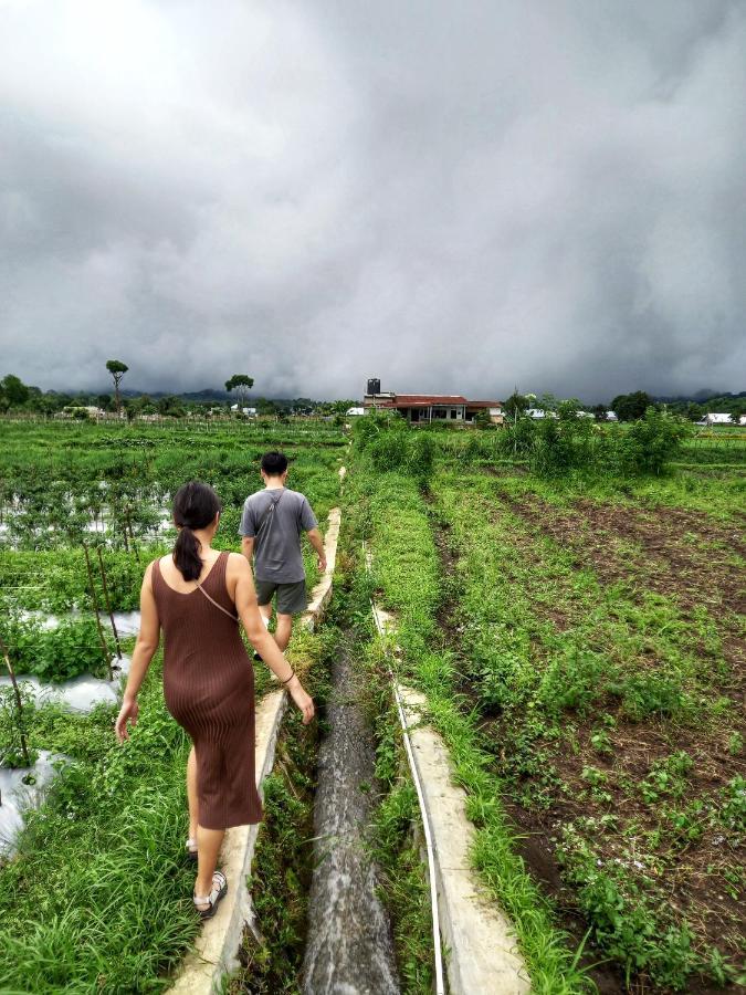 Family Rinjani Bungalow Sajang エクステリア 写真