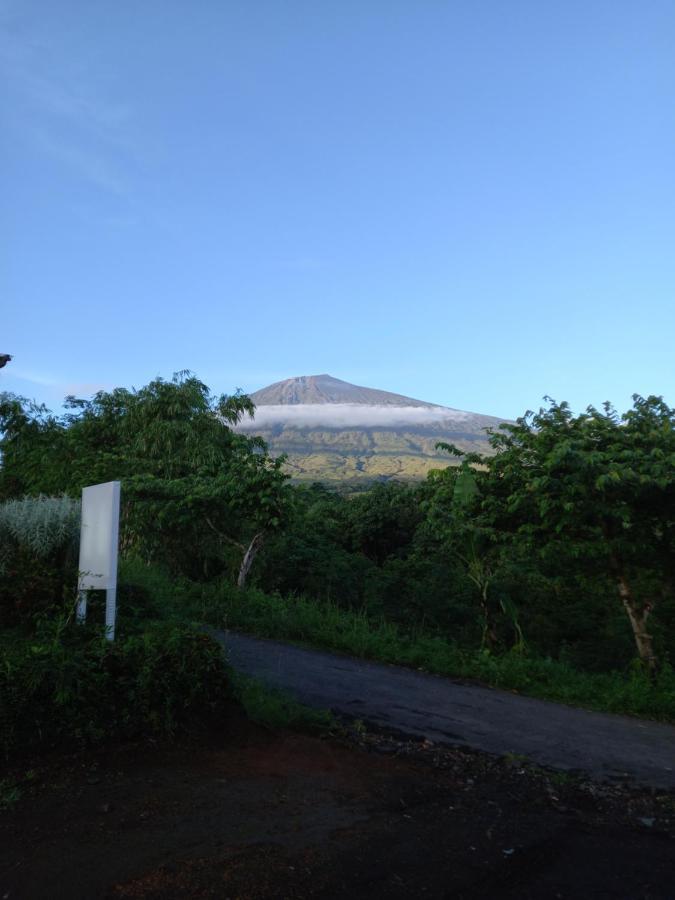 Family Rinjani Bungalow Sajang エクステリア 写真