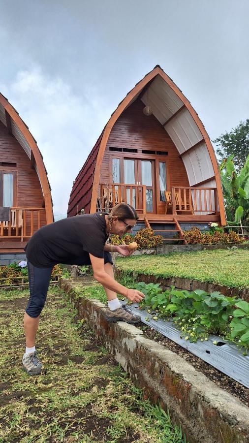 Family Rinjani Bungalow Sajang エクステリア 写真