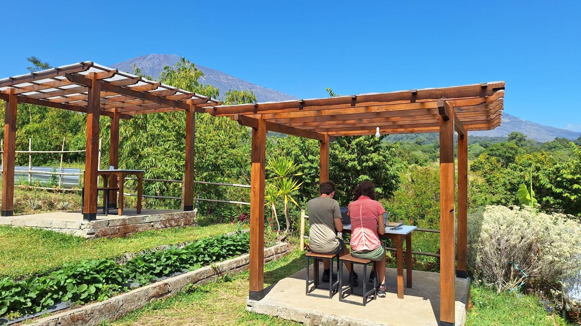 Family Rinjani Bungalow Sajang エクステリア 写真
